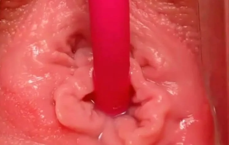 Lovense Extreme Close-up