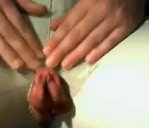 Very big pussy lips in videochat