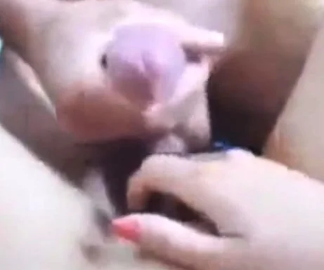 her pov