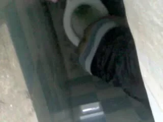 SPY 3