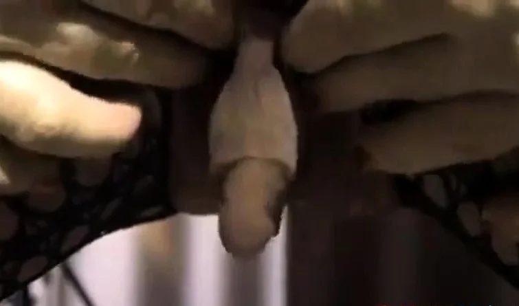 enormous erect clit