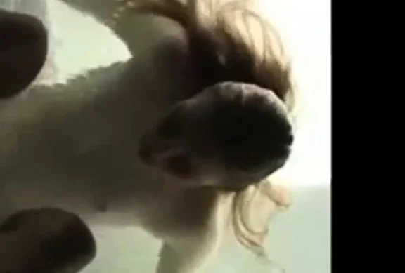 Cumming on the water jets