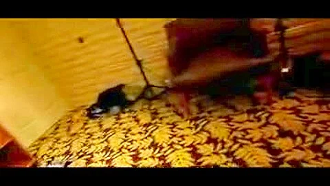 hairy pussy girl caught on