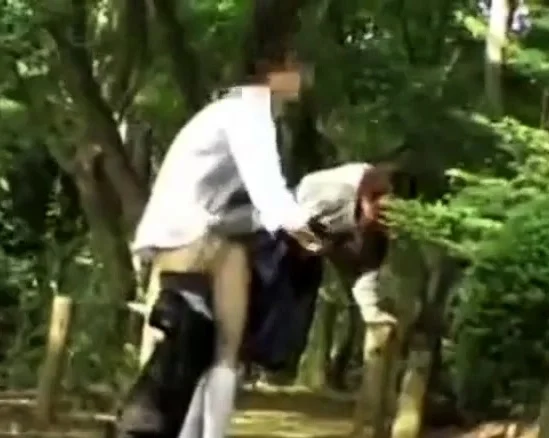 Japanese girl fucked in public