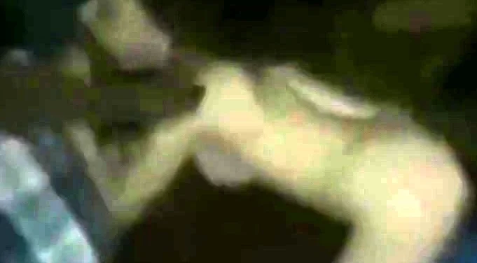 Got Set Up To Get Fucked
