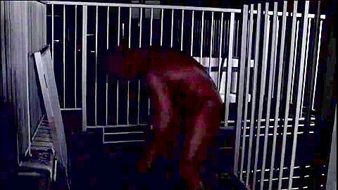 【ながえSTYLE】密室レ○プ 顔見知り犯行「被害者D子の場合」