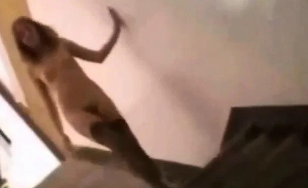 British Girl Gets Naked