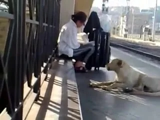 Sborrata alla Stazione (Cum on Station)