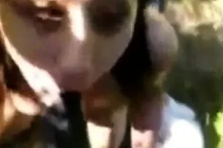 Black Guy Fucks Horny Asian Freak