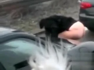 When you need to piss, nothing will stop you