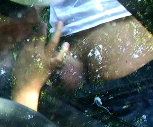 Brunette from village blowjob outdoors