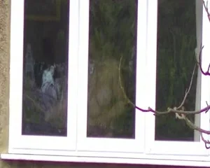 spying on neighbour