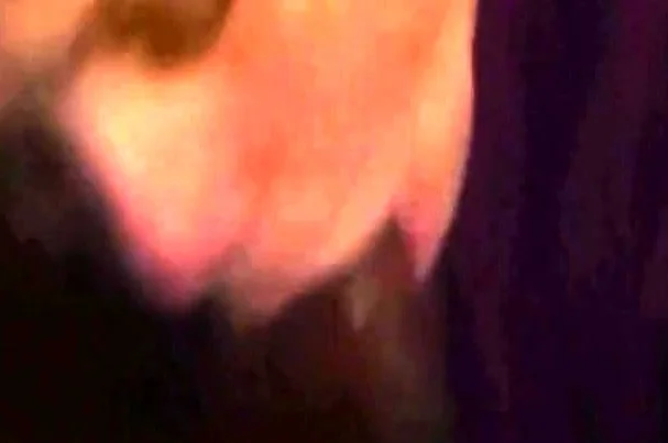 Sucking Dick