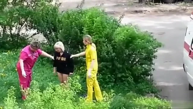 Ambulance picks up lady in the grass