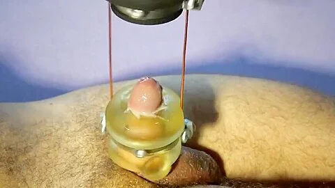 Milking Cum Machine 05