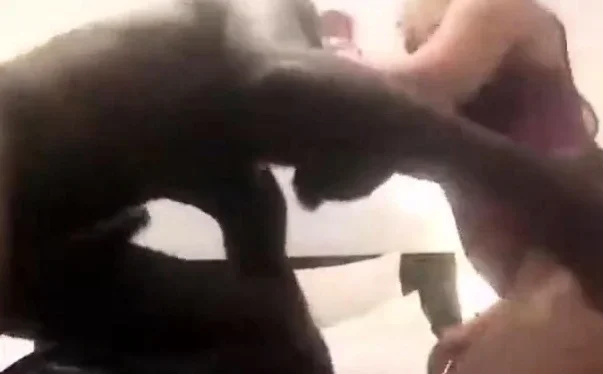 Amateur blonde interracial fuck and cum in mouth