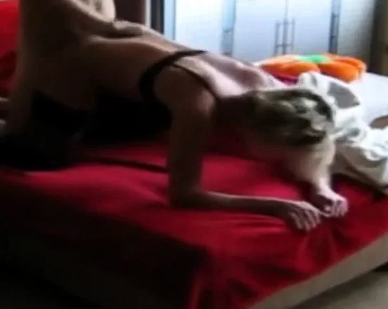 Nedeljno Popodne