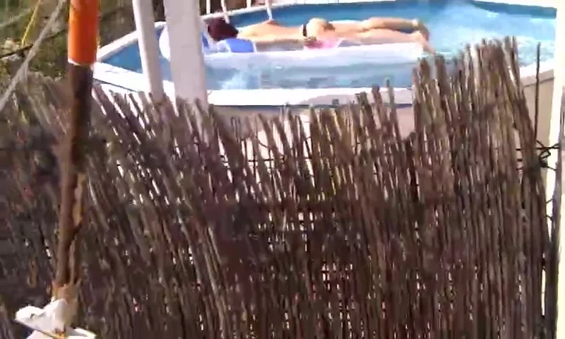 culo de travesti