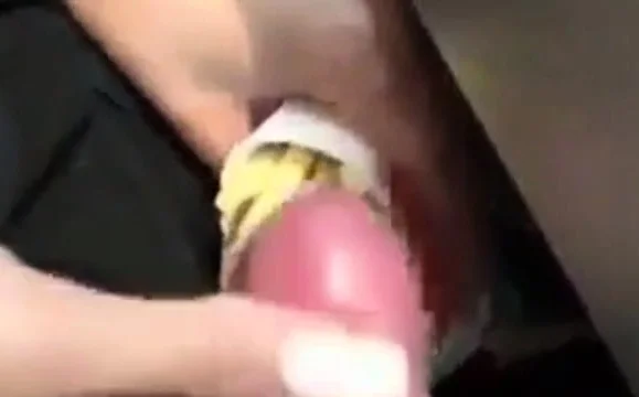 cum Pommes