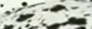 shy facial 2
