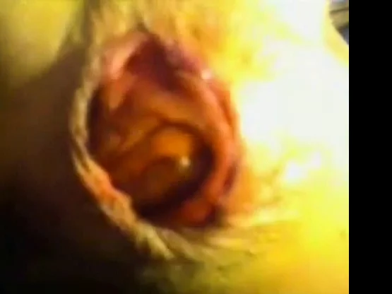 Webcam show with pretty rosebud