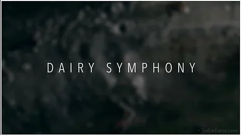 Dairy Symphony 2 - Andrea P