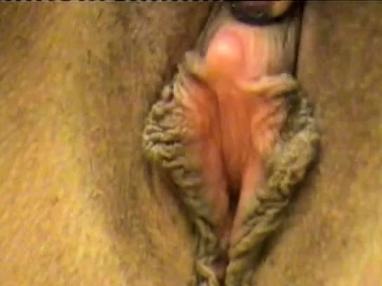 webcam big clit pussy