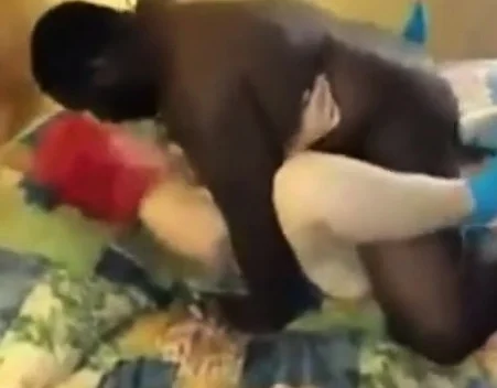 films his girlfriend with 2 bulls getting her seeded