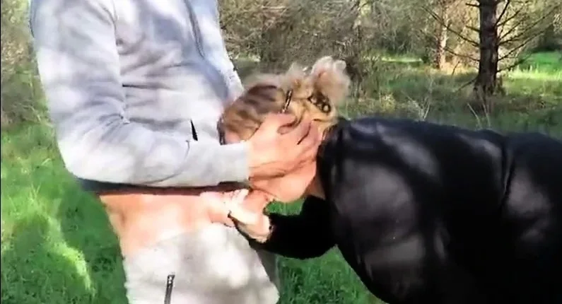 rencontre lors d'une balade
