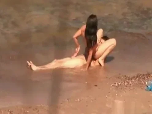 Shore Sensations!