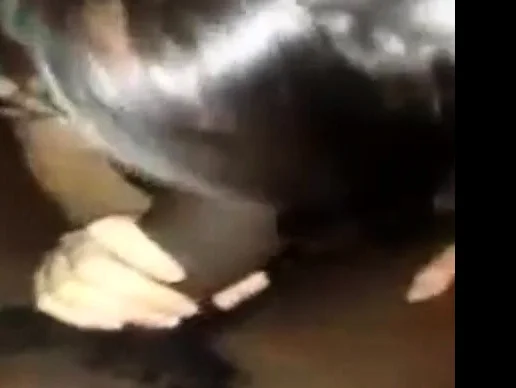 someones asian girl sucking a black guys dick