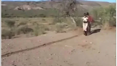 Ponygirl Working
