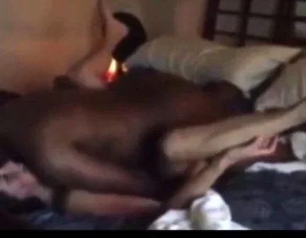 White wives going nuts on black dicks-compilation