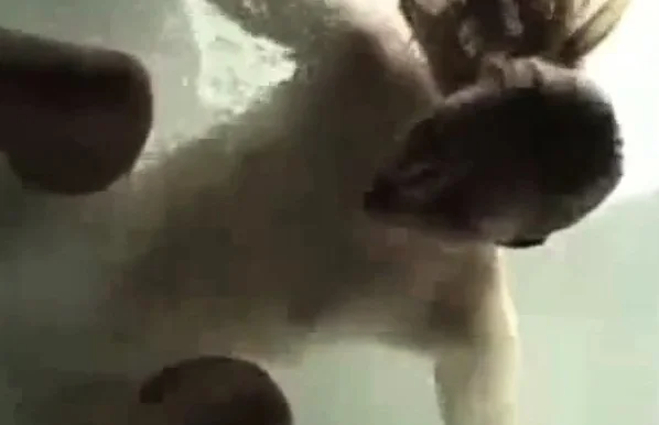 Cumming on the water jets