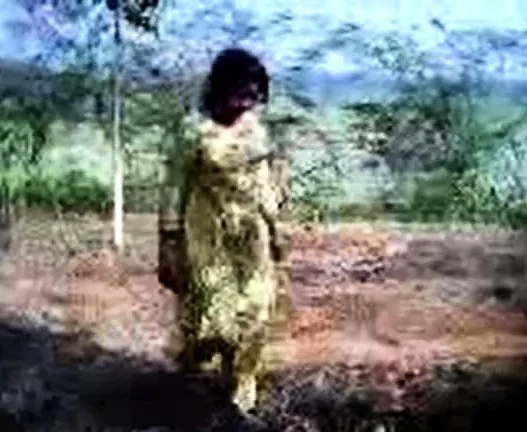Bangladeshi Forest Fun