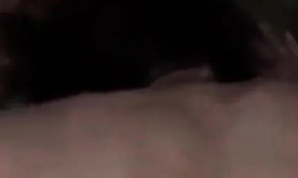 Lik Jebe Svoju Tastu STVARNO AUUU