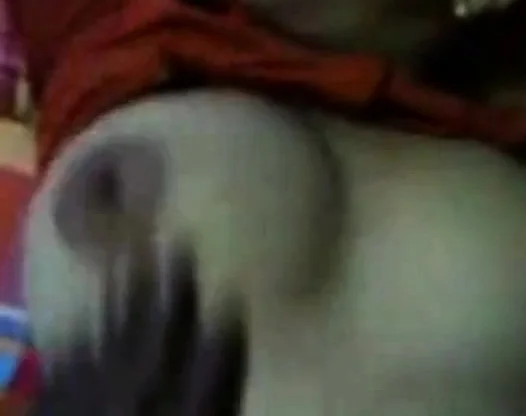 Bangladeshi Mallu Sex