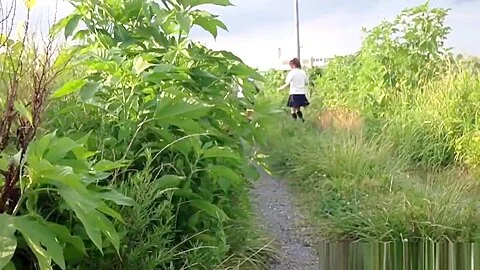 Asians Piss Off Footpath