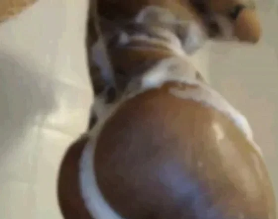 Big Booty Girl In The Shower
