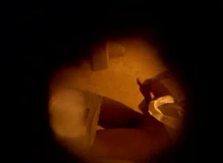 SPY