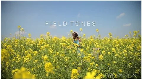 Field Tones - Sybil A