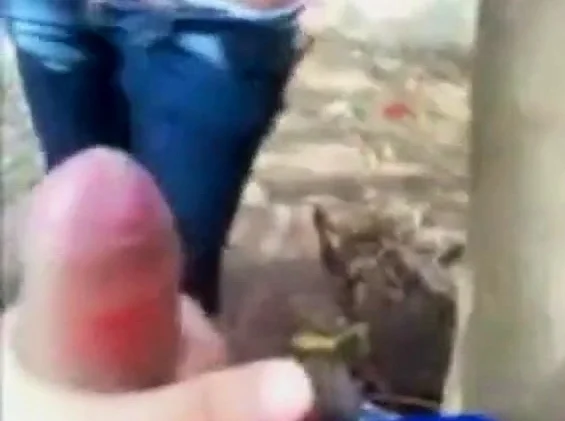 Latin couple fucking outdoors part 2