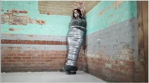 Jj Plush Wrapped In A Blanket And Duct Tape Mummified