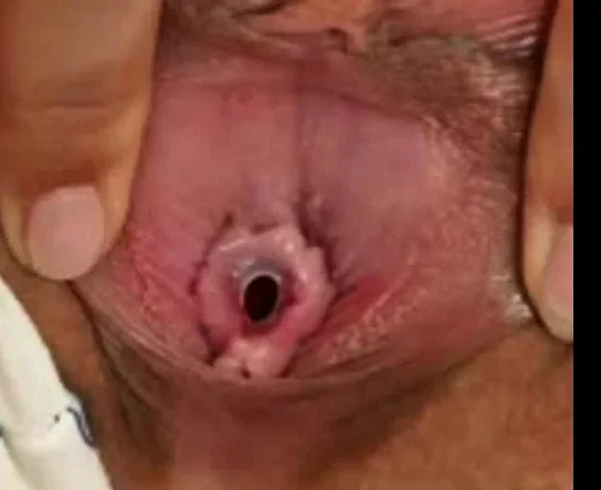 virgin
