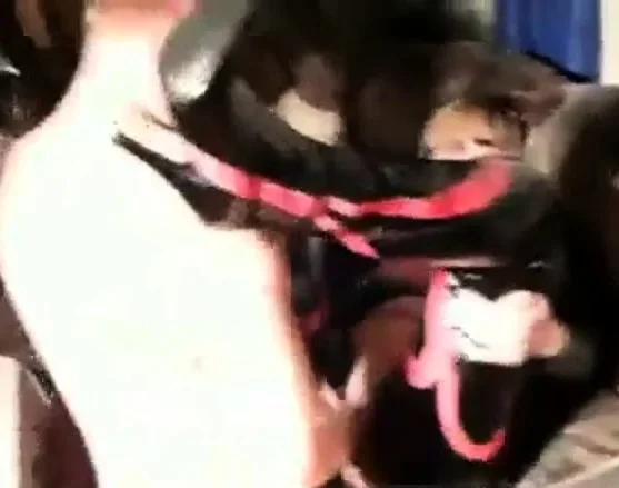 girl in latex gets fucked, cuckold hubby licks sperm