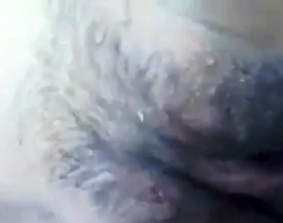 Shy Teen girl get fucked outdoor