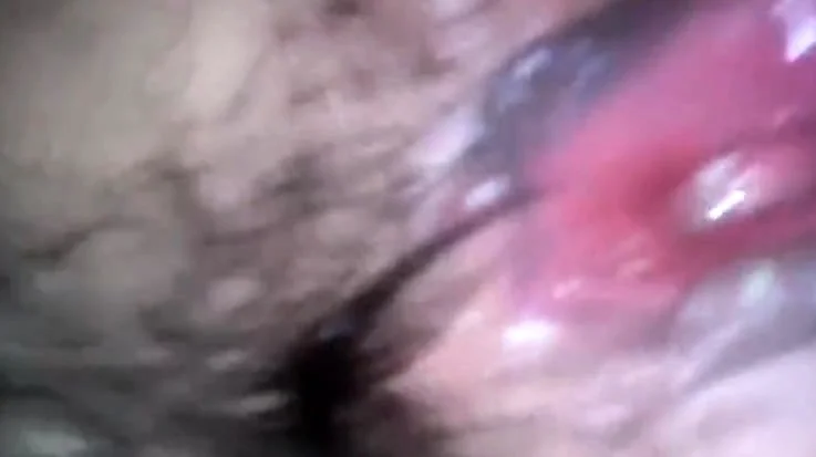 asian pussy closeup