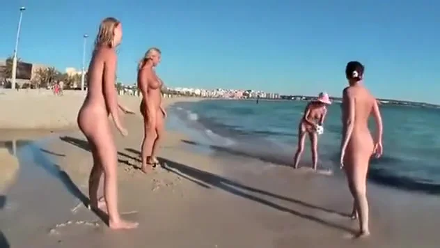 Four playful chicks and one ball