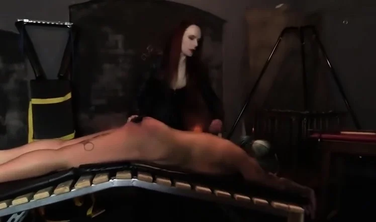 Bdsm femdom fetish humiliation