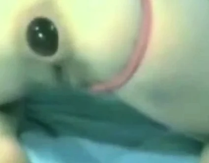 anal gape gaping asshole anal webcam